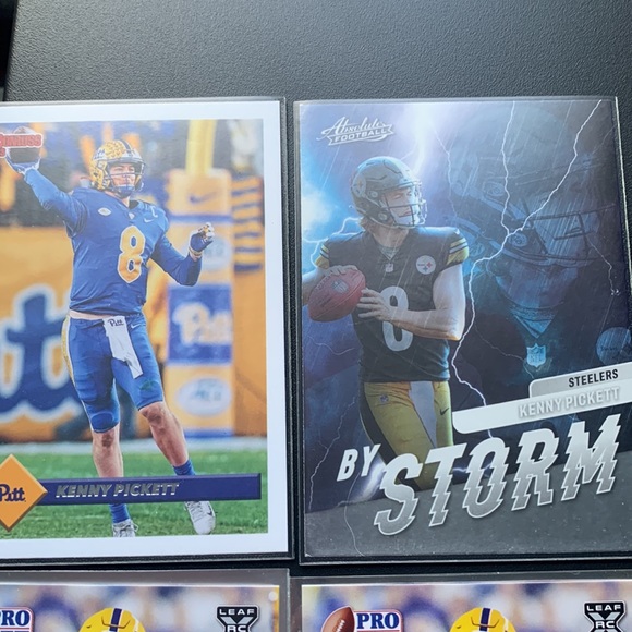 Kenny pickets - Picture 3 of 4